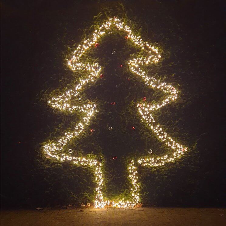 Kerstversiering maken: leuke kerst ideeën voor in huis en tuin. Kerstboom van lampjes in de heg. 