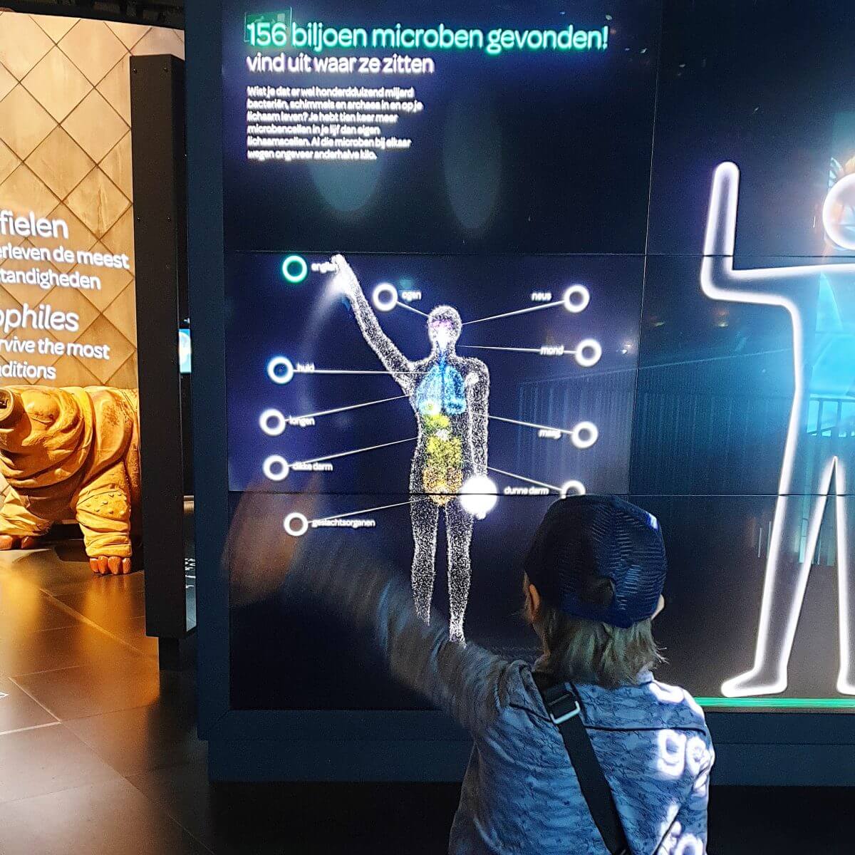 Micropia museum: leuk uitje voor nieuwsgierige kinderen in Amsterdam