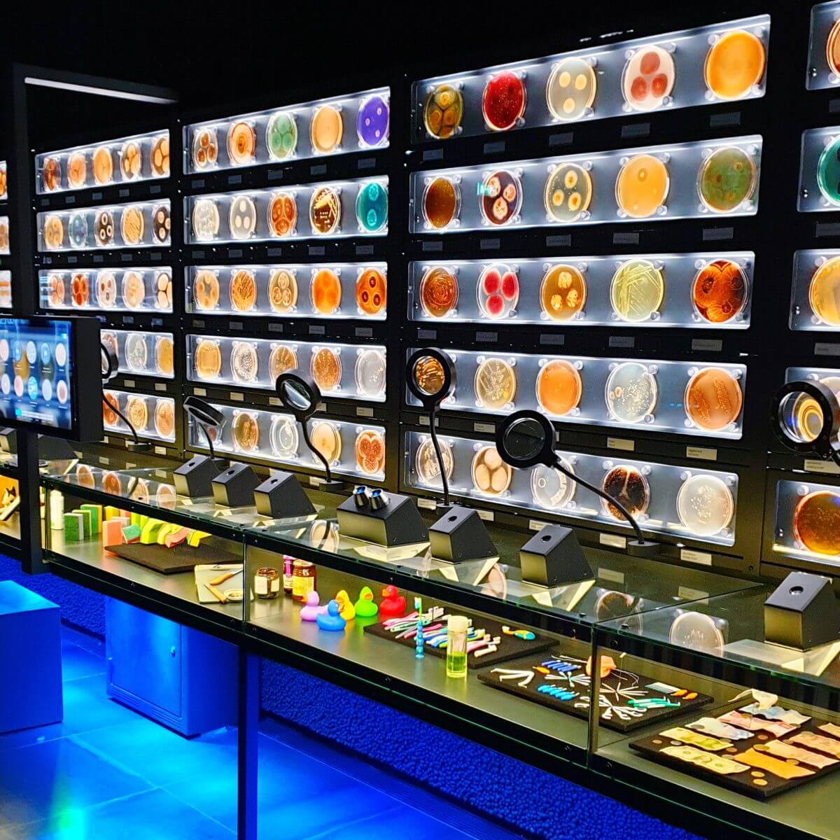Micropia Museum Uitje Voor Nieuwsgierige Kinderen Met Amsterdam Tips 