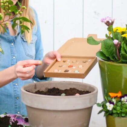 De leukste cadeau tips voor vrouwen: wat koop je voor mama? Bloompost heeft een leuk brievenbuscadeau: zaaibommetjes. Deze bolletjes stop je in de grond, een tijdje later groeien er biologische wilde bloemen. 