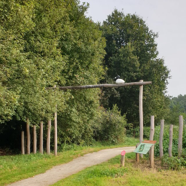 Diemerbos op de rand van Diemen en Amsterdam IJburg - spelen in speeltuin en speelbos het Banjerbossie. 