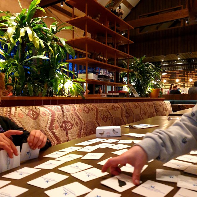 House of Bird: kindvriendelijk restaurant in het Diemerbos bij Amsterdam. Midden in het restaurant staat een spelletjeskast. Zoals deze vogelmemory, hoe toepasselijk.