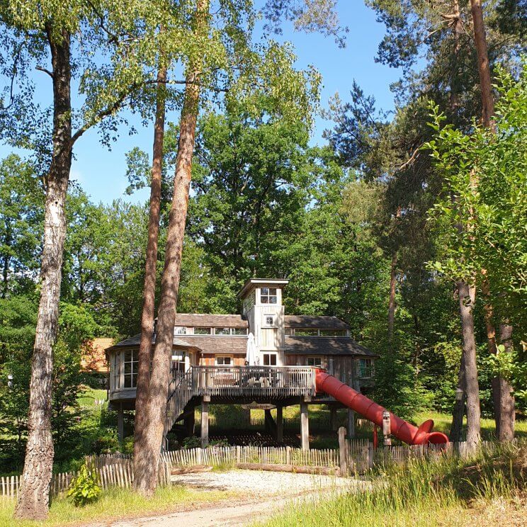 Landal Miggelenberg Droomboom boomhut bungalow