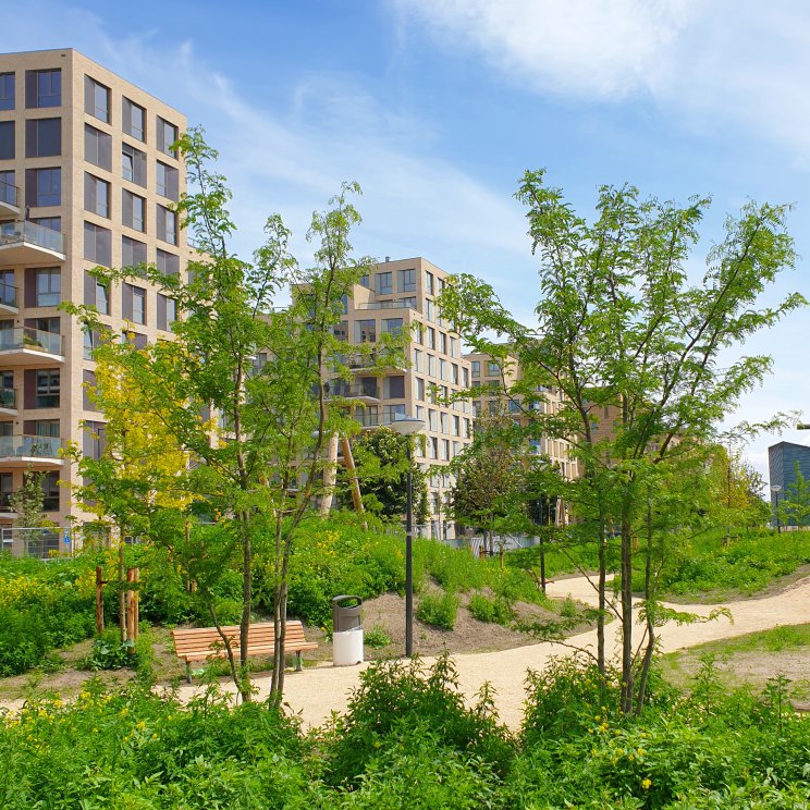 het parkachtige deel