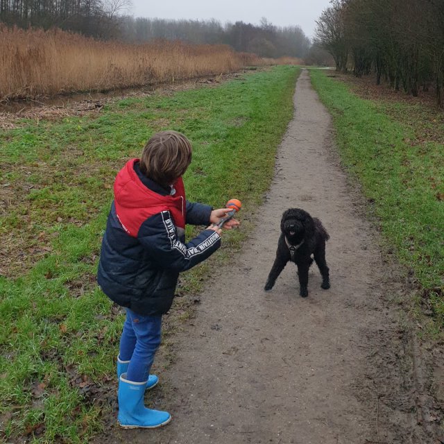 Honden zijn toegestaan in het Diemerbos, maar niet in het Banjerbossie.