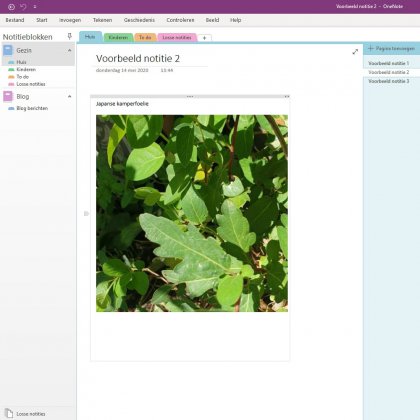 voorbeeld van OneNote in Microsoft 365