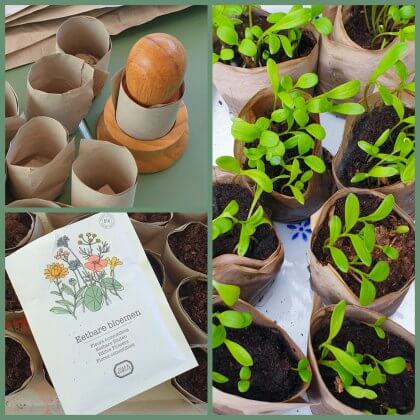 zaadjes opkweken: stamper om papieren kweekbakjes te maken en zaadjes voor eetbare bloemen