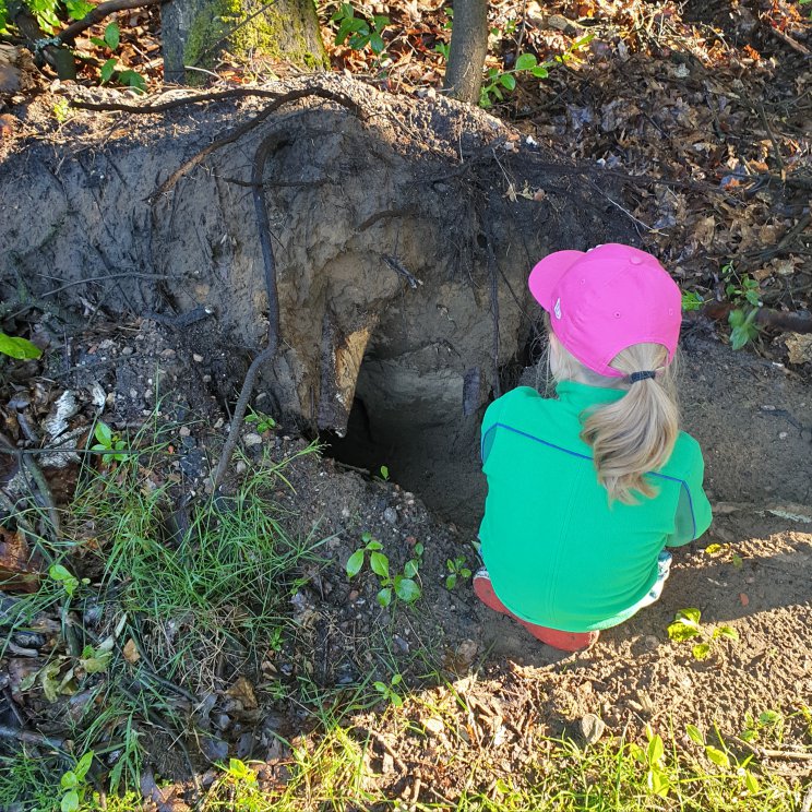 Landal Miggelenberg op de Veluwe: vakantiehuisjes in de natuur