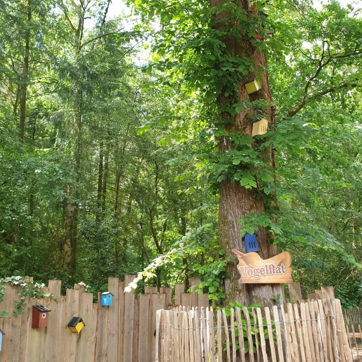 Landal Miggelenberg op de Veluwe: vakantiehuisjes in de natuur