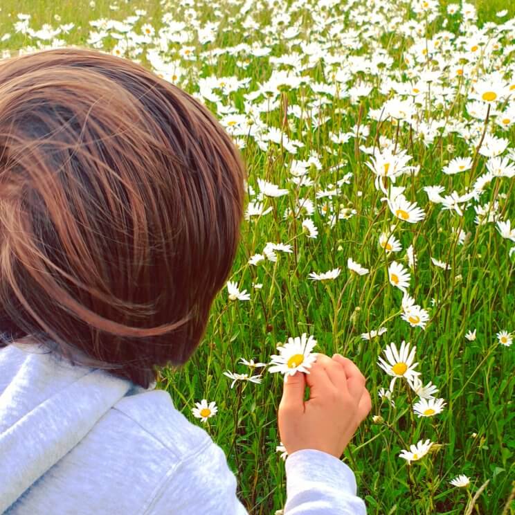 Kinderen leren over tuinieren en planten: boeken, spelletjes en apps