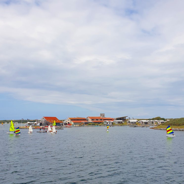 surfen en zeilen bij de Brouwersdam