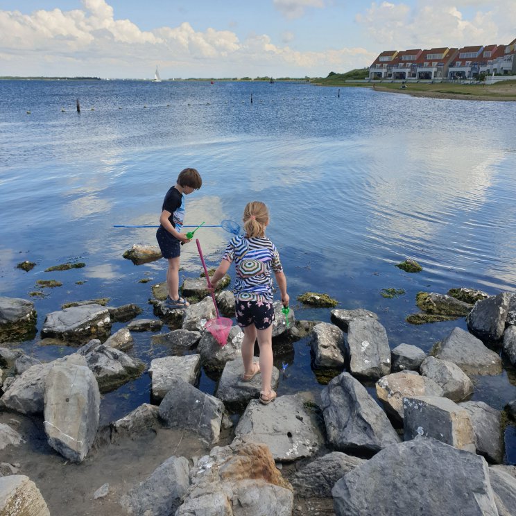 Schouwen Duiveland met kinderen - kindvriendelijk vakantiepark Port Greve - krabbetjes vangen aan het Grevelingenmeer