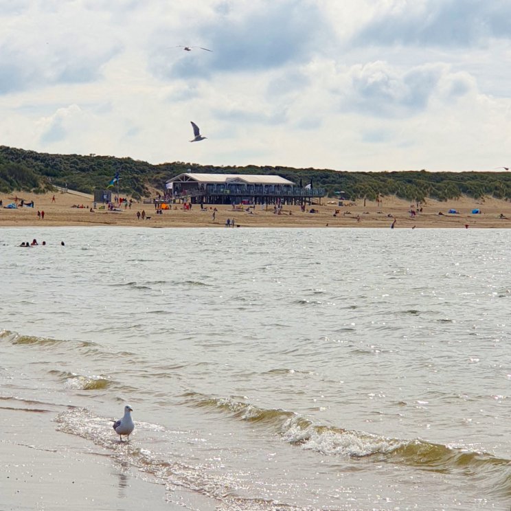 Noordzeestrand op de Brouwersdam