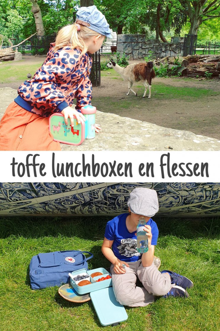 Toffe lunchboxen en drinkflessen voor kinderen: klaar voor school