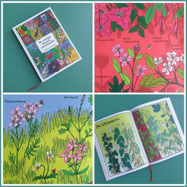De vrolijke plantenencyclopedie is een anders dan anders encyclopedie. Het is dan ook een encyclopedie voor kinderen. Dus hij staat niet vol met tekst, maar met kleurrijke tekeningen van planten. 