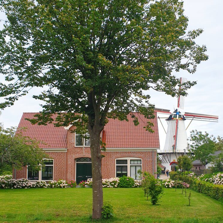 Kindvriendelijk restaurant Schouwen-Duiveland: Pannekoekenmolen de Graanhalm in Burgh Haamstede, Zeeland