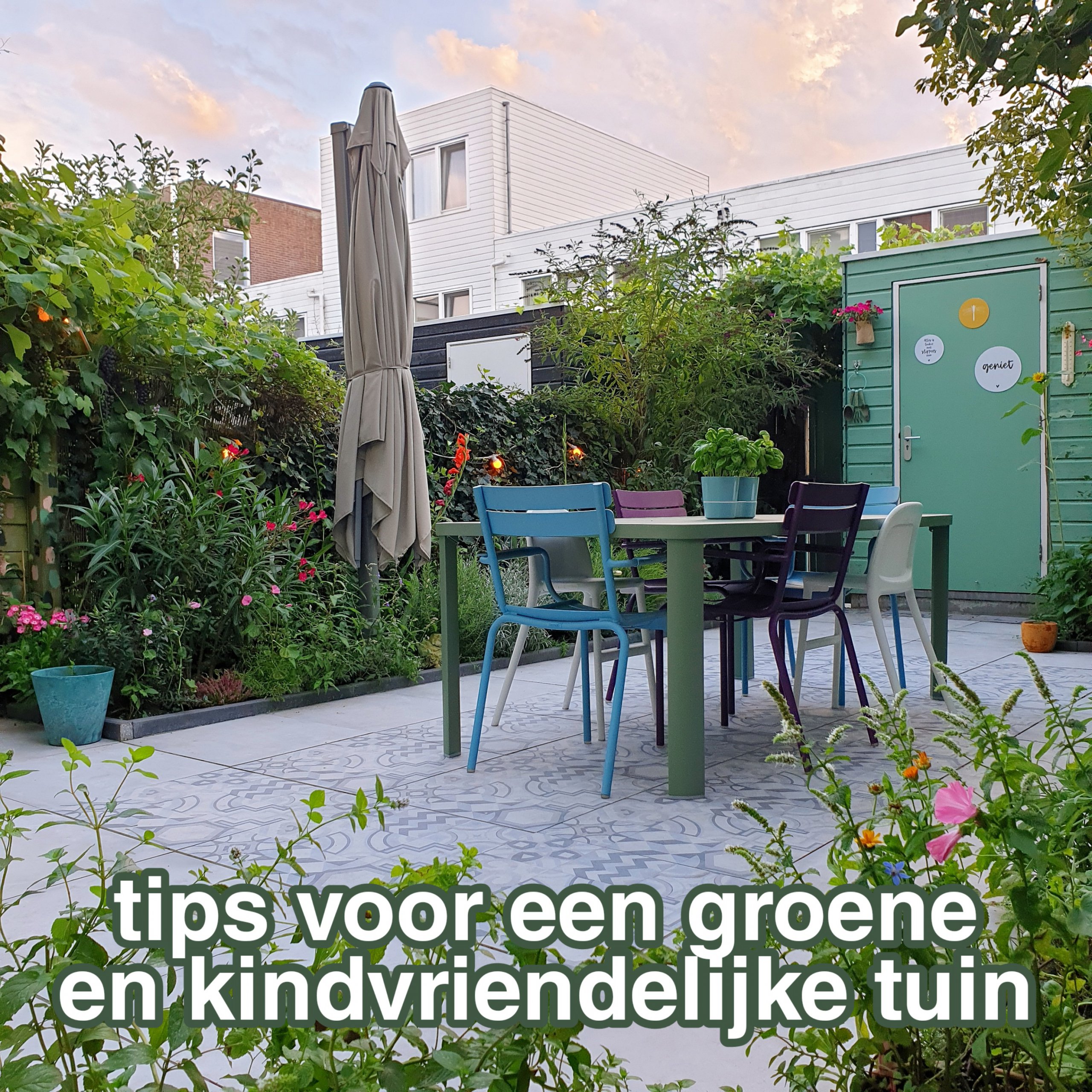 Tips voor een kindvriendelijke, kleurrijke en groenblijvende tuin. Als je vanuit je woonkamer op je tuin kijkt, dan is het leuk als hij altijd mooi is. In de zomer, maar ook in de winter. Ik deel hier mijn tips voor een kindvriendelijke tuin die het hele jaar groen is. En ook altijd bloemen en bessen heeft.