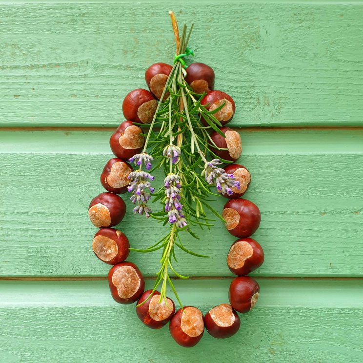 Herfst knutselen met kinderen: blaadjes, kastanjes en meer ideeën. Zoals een herfst decoratie hanger knutselen van kastanjes, rozemarijn en lavendel. 