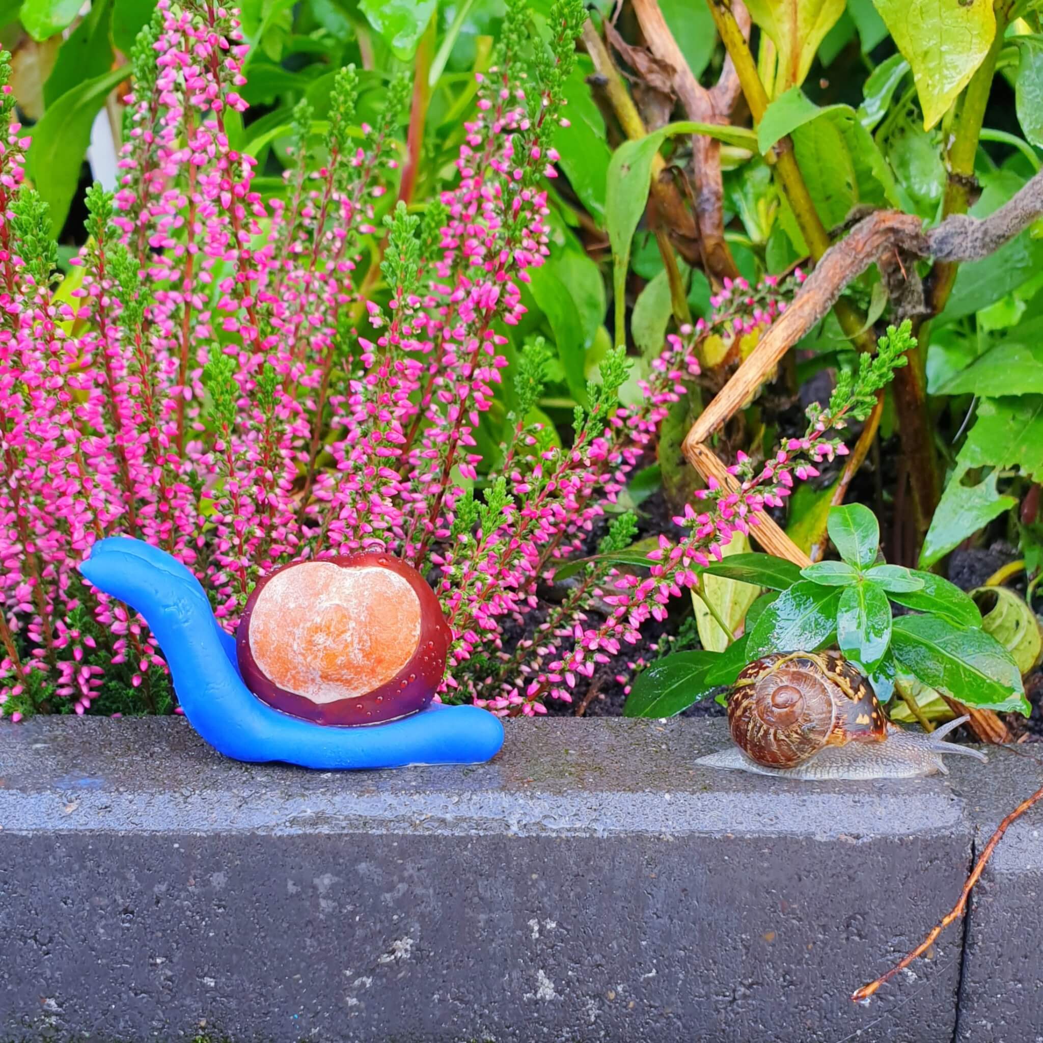 Herfst knutselen met kinderen - dieren knutselen zoals een kastanje slak 