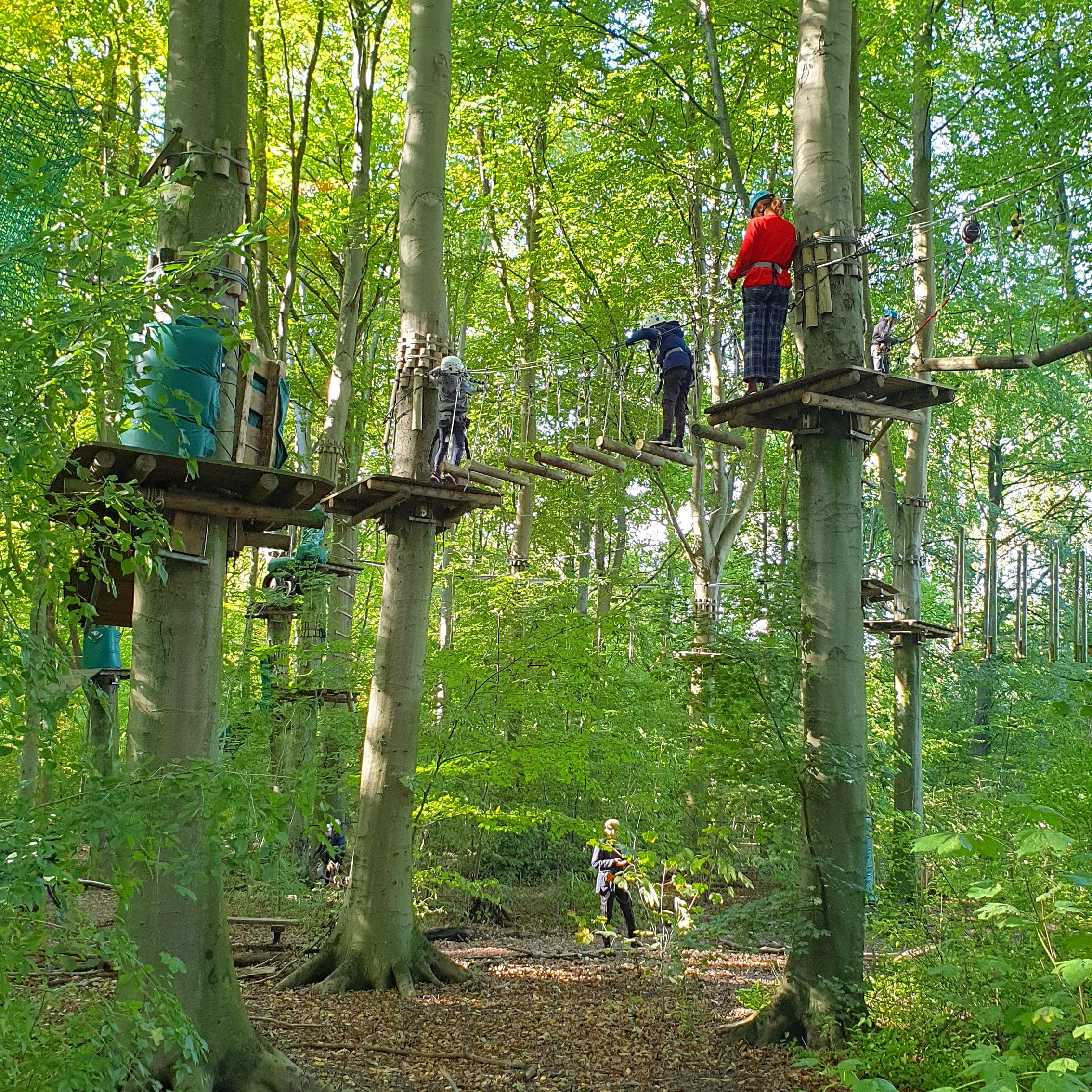 101 uitjes met tieners in Nederland en België. Klimbos Fun Forest