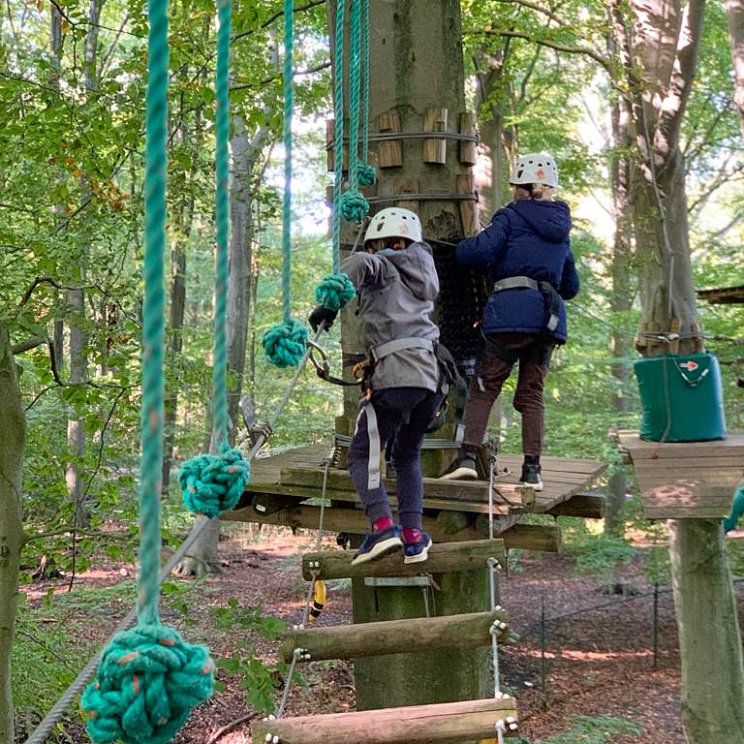 Klimbos Fun Forest: sportief buiten uitje met kinderen in de natuur