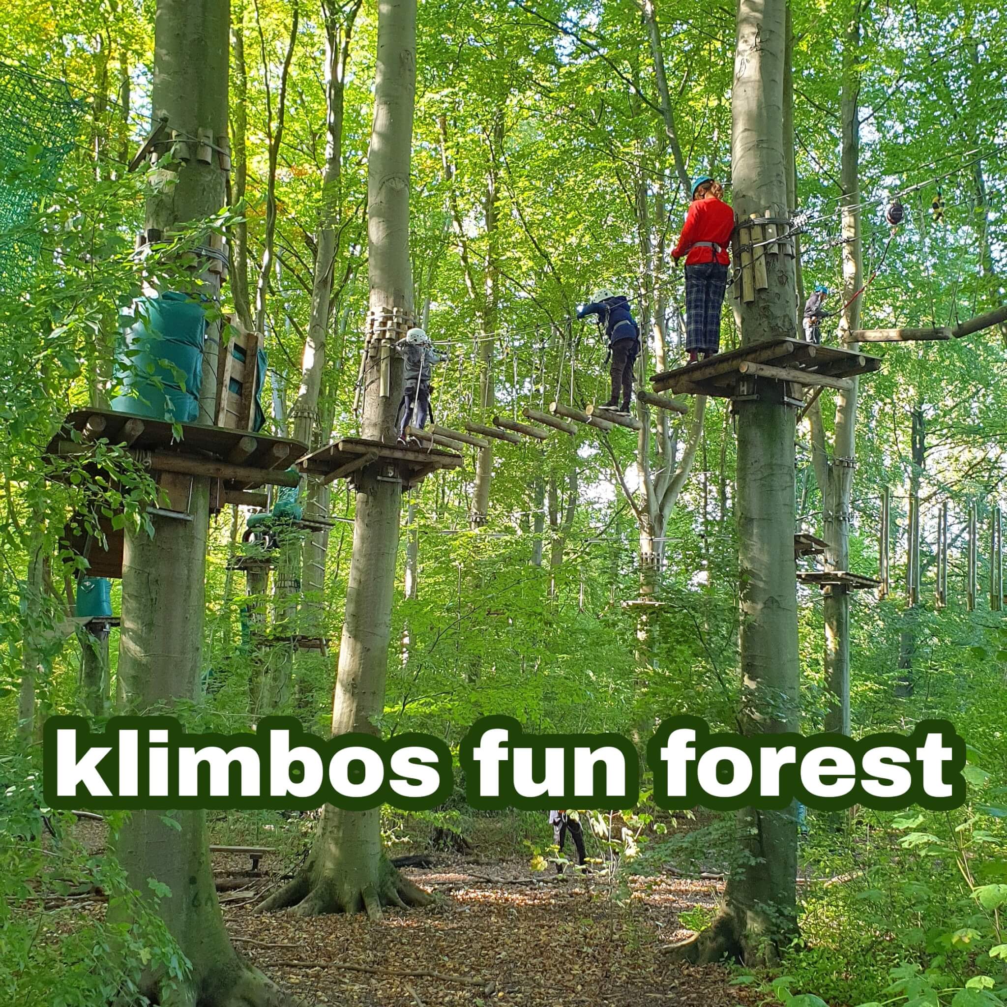 Klimbos Fun Forest: sportief buiten uitje met kinderen in de natuur