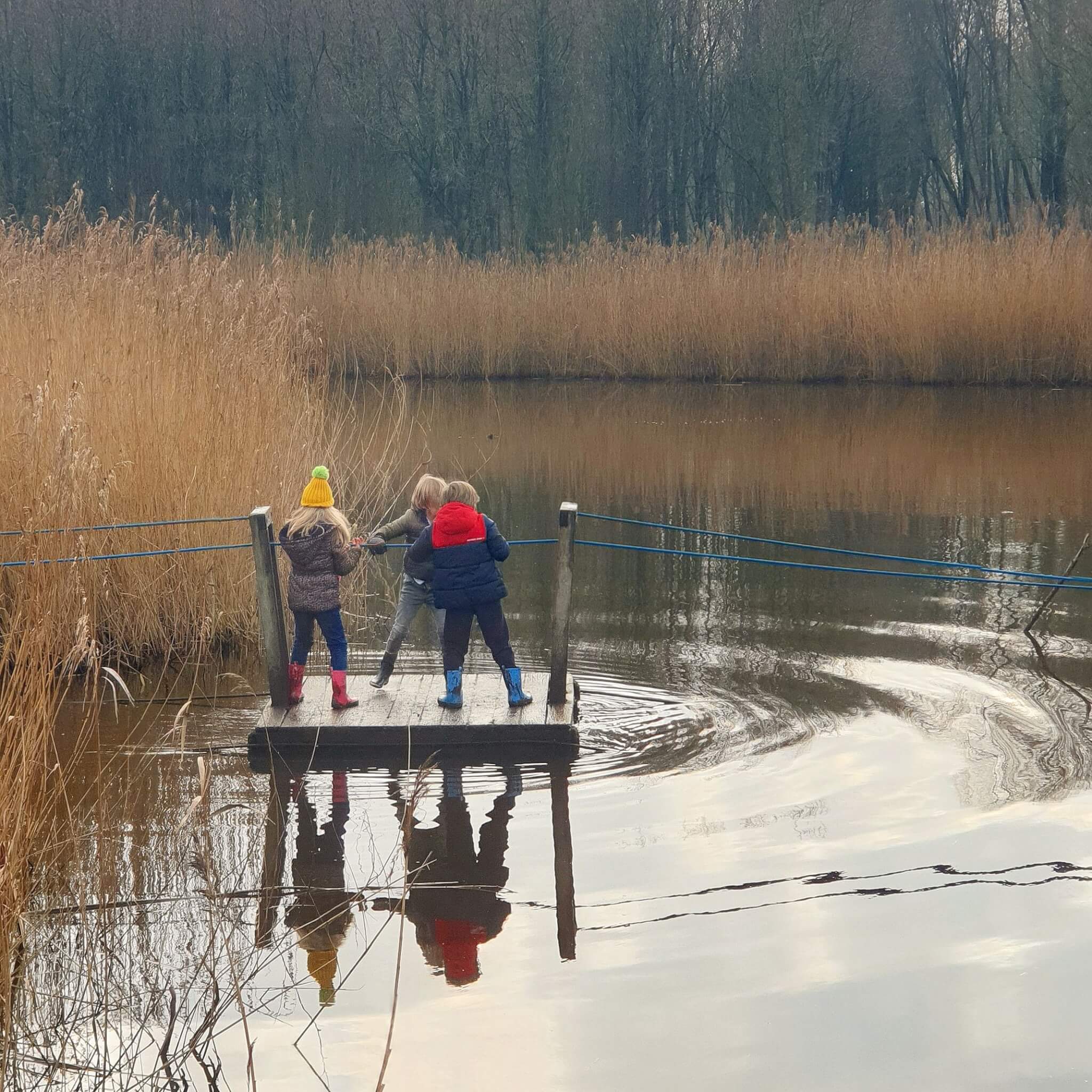 Wandelen met kinderen in de buurt van Amsterdam: plekken met speeltuin - Banjerbossie in het Diemerbos