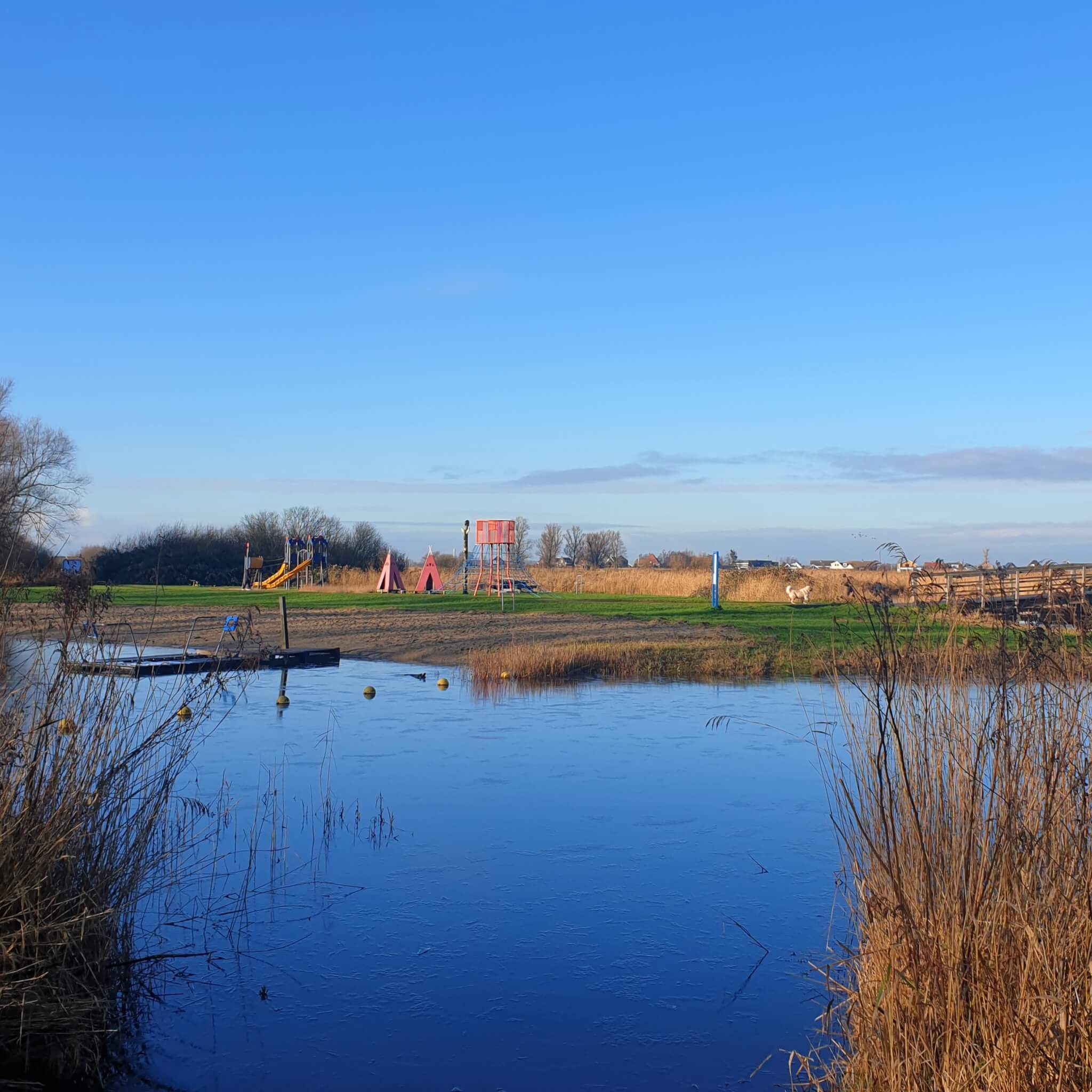 Wandelen met kinderen in de buurt van Amsterdam: plekken met speeltuin - Het Twiske in Amsterdam Noord