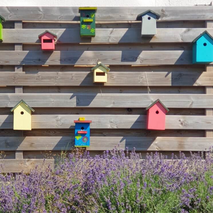 vogelhuisjes met lavendel