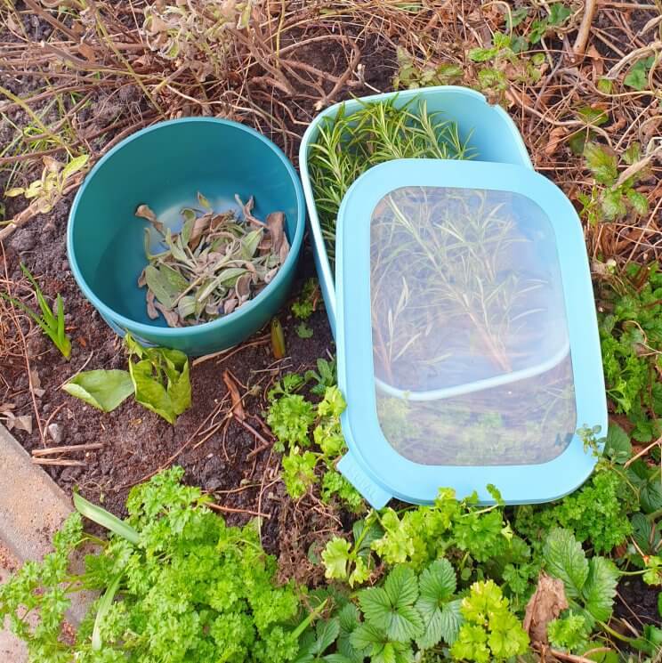 Mepal Cirqula rechthoekige bewaardozen.