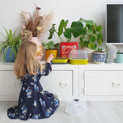 AH moestuintjes laten groeien: zo zorg je dat ze het dit jaar beter doen