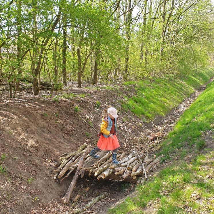 Hof van Saksen review: luxe vakantiepark voor kinderen én tieners. Aan de rand van Hof van Saksen is een wandelbos van Staatsbosbeheer. De wandeling door het bos is ongeveer een kwartier, prima met kleintjes dus. Het is een fijne plek om hutten te bouwen. Bovendien zijn er schapen in het bos, dat spreekt kleintjes ook enorm aan. 