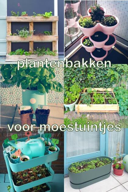 Plantenbakken voor moestuintjes: ideeën om te knutselen en uit de winkel. We zijn aan de slag gegaan met de moestuintjes van de Appie. Om ze te laten groeien, maar ook om ze een leuke plek en pot te geven. We besloten een aantal plantenbakken voor moestuintjes te knutselen, maar kochten ook een aantal in de winkel. Kijk mee naar al deze leuke potjes waar je de kruiden en groenten in kan stoppen