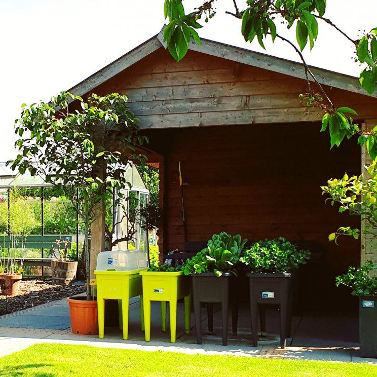 Plantenbakken voor moestuintjes: ideeën om te knutselen en uit de winkel. Moestuinbakken.