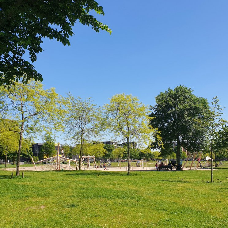 Wandelen met kinderen in de buurt van Amsterdam: plekken met speeltuin. Nieuwe speeltuin in het Theo van Goghpark op IJburg.