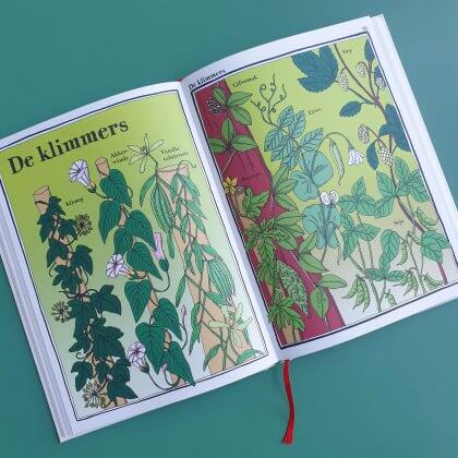 De vrolijke plantenencyclopedie is een anders dan anders encyclopedie. Het is dan ook een encyclopedie voor kinderen. Dus hij staat niet vol met tekst, maar met kleurrijke tekeningen van planten. 