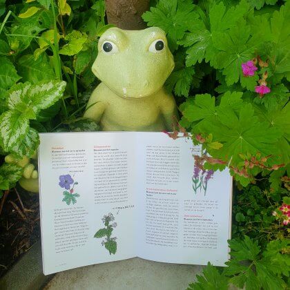 Voor kinderen zijn er niet zo veel tuinboeken. Daarom vond ik het extra leuk dat er nu een tuinboek is voor kinderen, dat over duurzaam tuinieren gaat. Auteur Anne Wieggers ken je misschien wel van BinnensteBuiten. We hadden haar boek voor volwassenen al, dus we waren ook heel benieuwd naar haar versie voor kids.