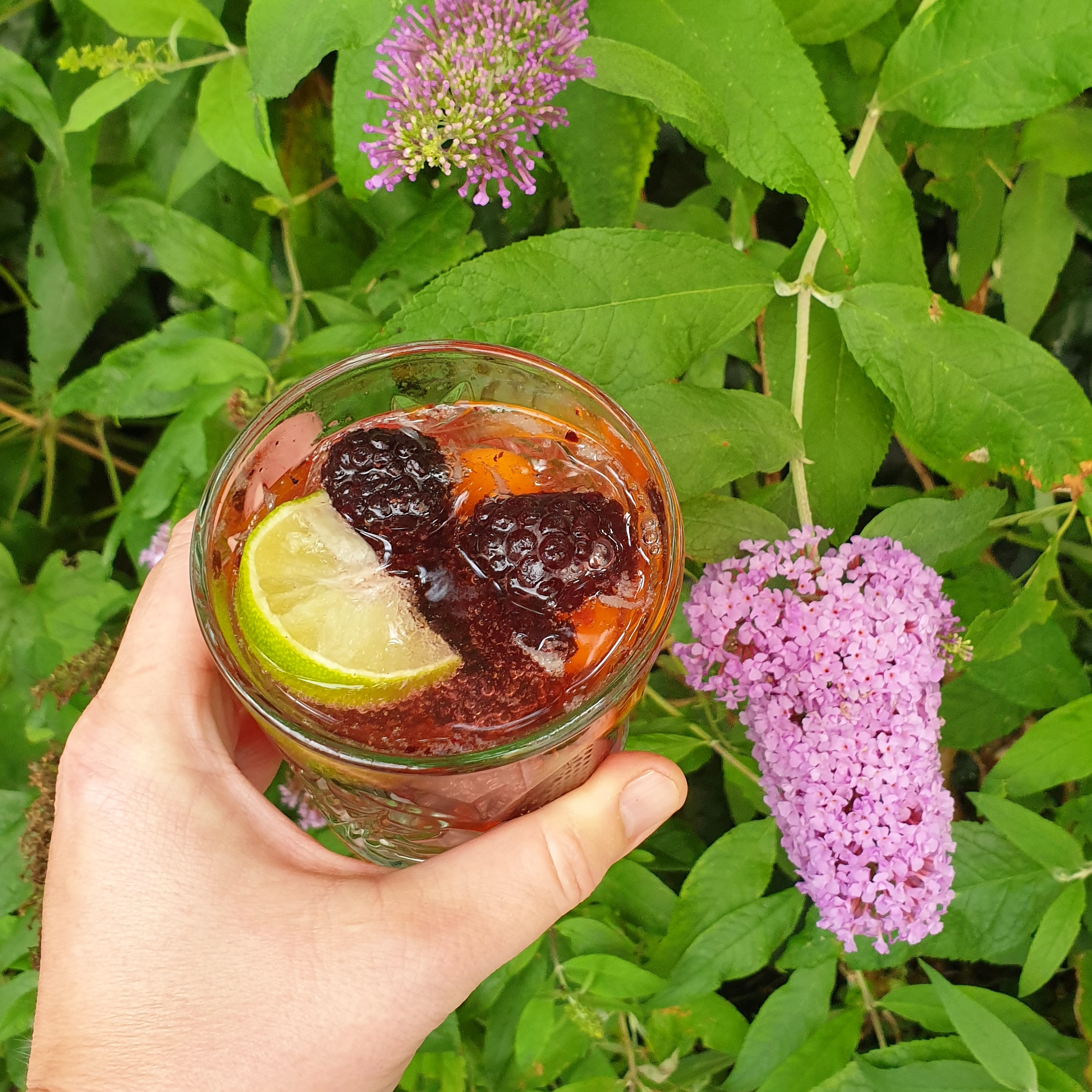 Recepten alcoholvrije mocktail drankjes voor ouders én kinderen. Ben je op zoek naar lekkere borrel drankjes voor het hele gezin? Bekijk dan onze favoriete recepten voor alcoholvrije mocktail drankjes voor ouders én kinderen.