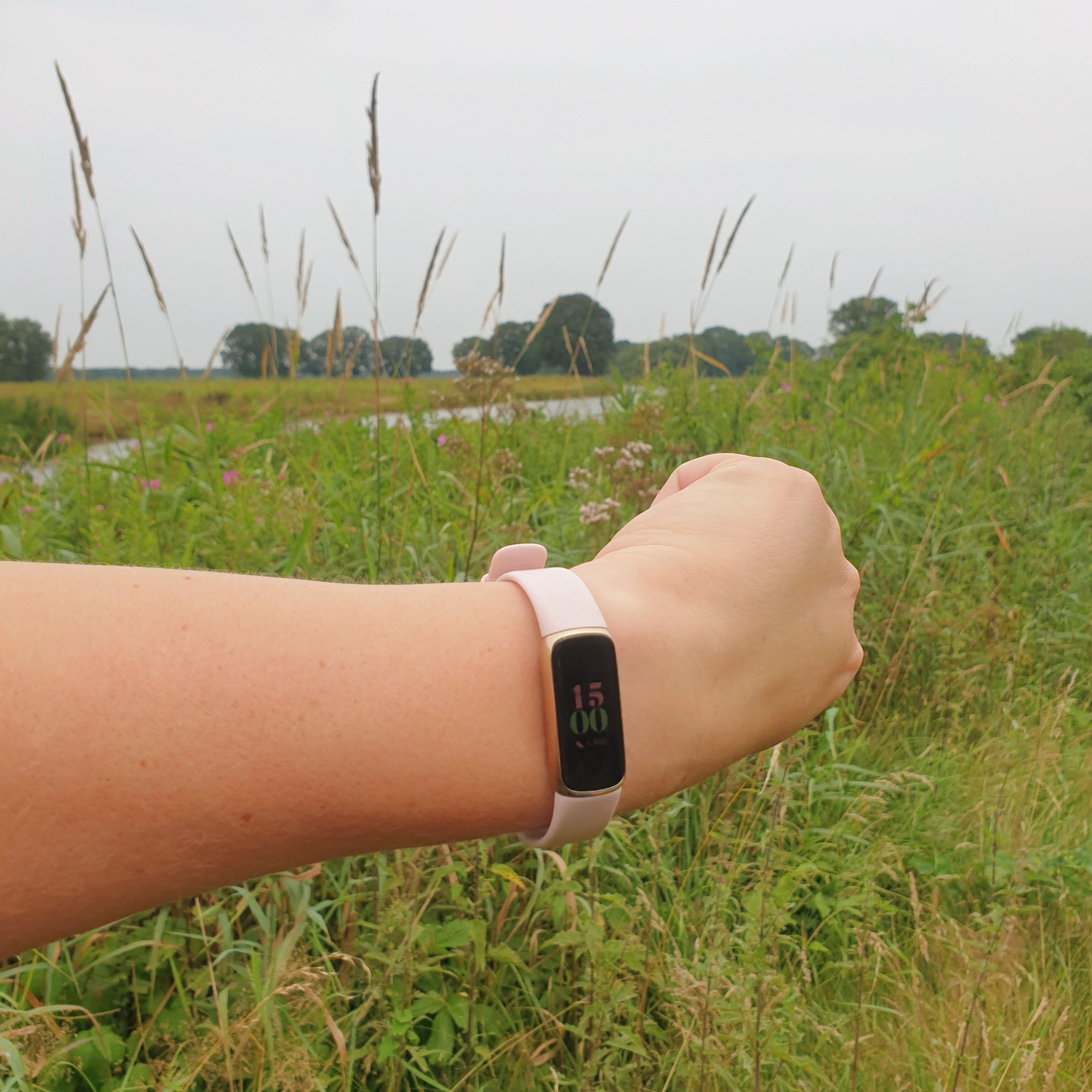 Fitbit heeft een activity tracker die ook een heel mooi horloge en schakelarmband is: de Fitbit Luxe.