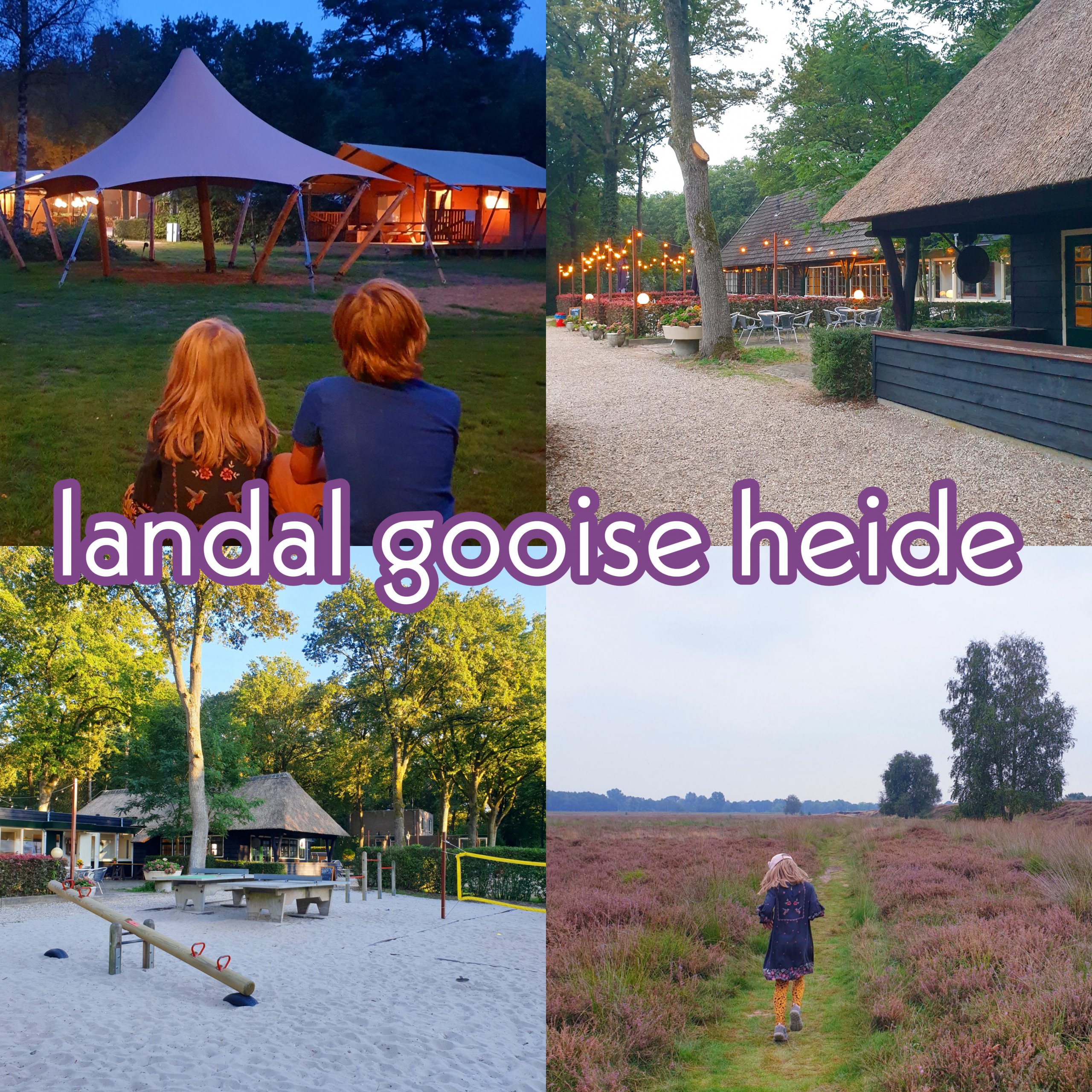 Glamping Landal Gooise Heide review: safaritenten camping. Landal Gooise Heide is een nieuwe glamping tussen Huizen en Blaricum. Op deze camping verblijf je in safaritenten in de natuur van het Gooi. Wij bezochten Landal Gooise Heide en vertellen er alles over in deze review.