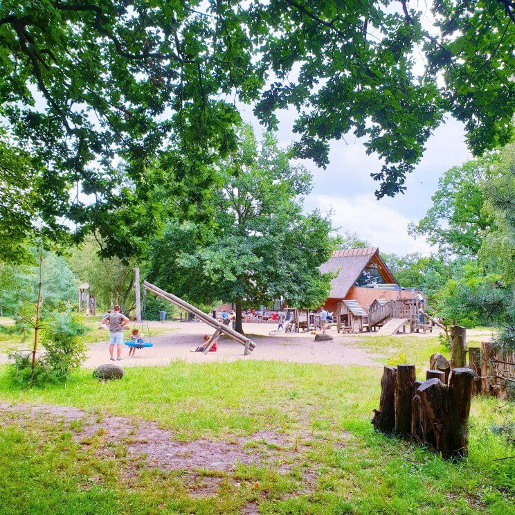 Op de Bussumerheide is de heide heel weids, maar je kunt ook door het bos lopen. Paviljoen Heidezicht ligt aan de rand van de Bussumerheide. Bij het restaurant is een grote houten omheide speeltuin, die zowel voor kleine als grote kids leuk is. Oh ja en er zijn ook nog mooie herten. 