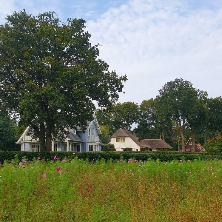 Ook richting Blaricum kun je een mooie wandeling maken.Eerst door het bos, daarna over de Tafelbergheide. Je komt dan langs een uitkijkpunt, het hoogste punt van het Gooi. Even verderop ligt restaurant de Eendracht, dat uitkijkt over de Tafelbergheide. Naast een terras met tafeltjes, hebben ze een aantal fijne overdekte loungeplekken, waar ook een houtkachel aan kan. Wij gingen voor de zelfgemaakte ice tea en cheesecake, die laatste waren enorm. Op het terras is een speelrek en er liggen ballen waarmee je op de heide kunt spelen. Even verderop ligt Schaapskooi Tafelberg. Daarna door Blaricum heen, dat ontzettend groen is. Net als op veel plekken in het Gooi, zijn er wilde bloemenweides ingezaaid. Ook rondom weides en akkers zijn bloemen gezaaid.