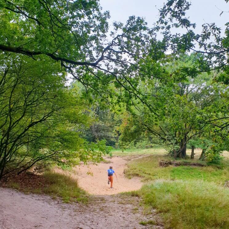 Bij de receptie van Landal Gooise Heide kun je een route halen voor een wandeling van ongeveer 5 kilometer, speciaal voor gezinnen. Deze route gaat langs een paar leuke plekken. Met kleintjes kun je stoppen bij Kinderboerderij de Warande. Wij stopten bij de waterspeeltuin daar vlakbij. Onderweg kom je stukken bos tegen, met kleine zandverstuivingen. De heide rondom natuurreservaat Groeve Oostermeent is ook prachtig. Ook kom je nog langs een heemtuin.