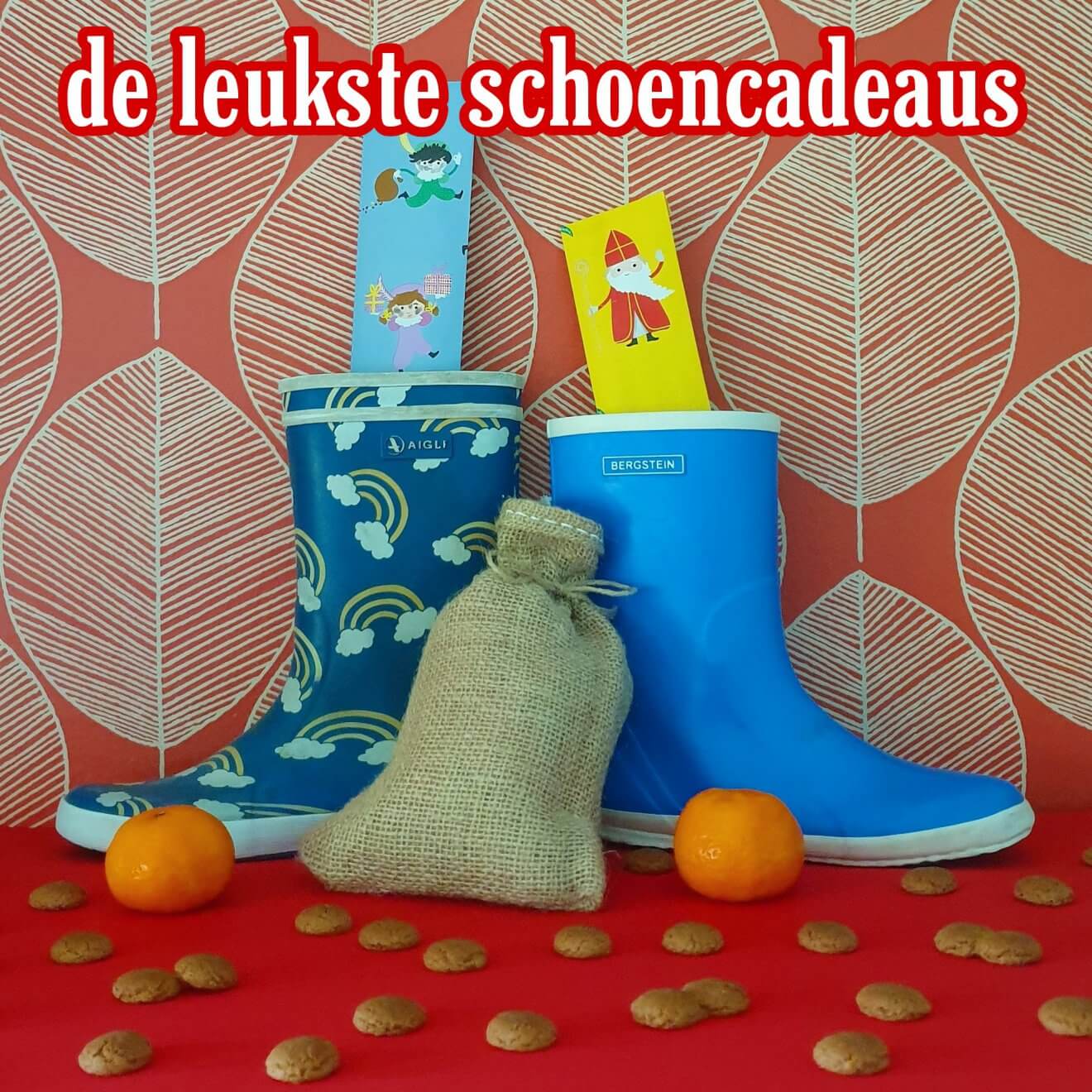 De favoriete schoencadeaus van Sinterklaas. Wat koopt Sinterklaas het allerliefst als schoencadeaus? Ik vroeg hem om ideeën voor kleine Sinterklaascadeaus, van een paar euro tot ongeveer vijftien euro, soms stiekem ietsje meer.