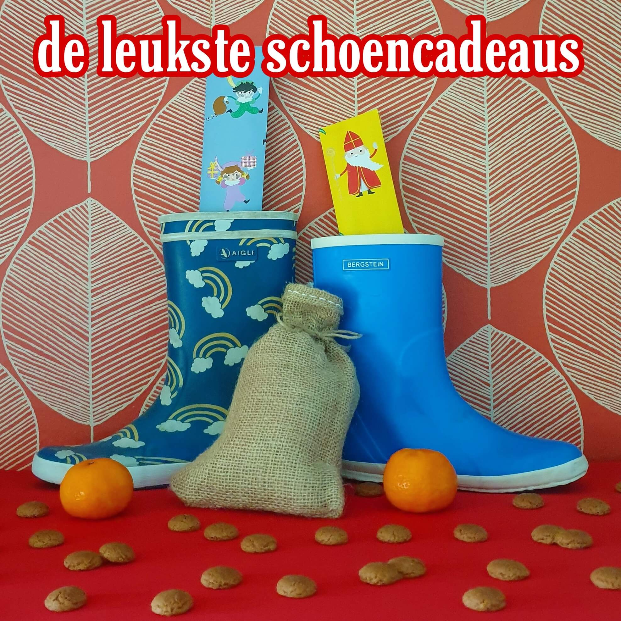 Supermarkt ik ben trots Volgen De favoriete schoencadeaus van Sinterklaas - Leuk met kids Leuk met kids