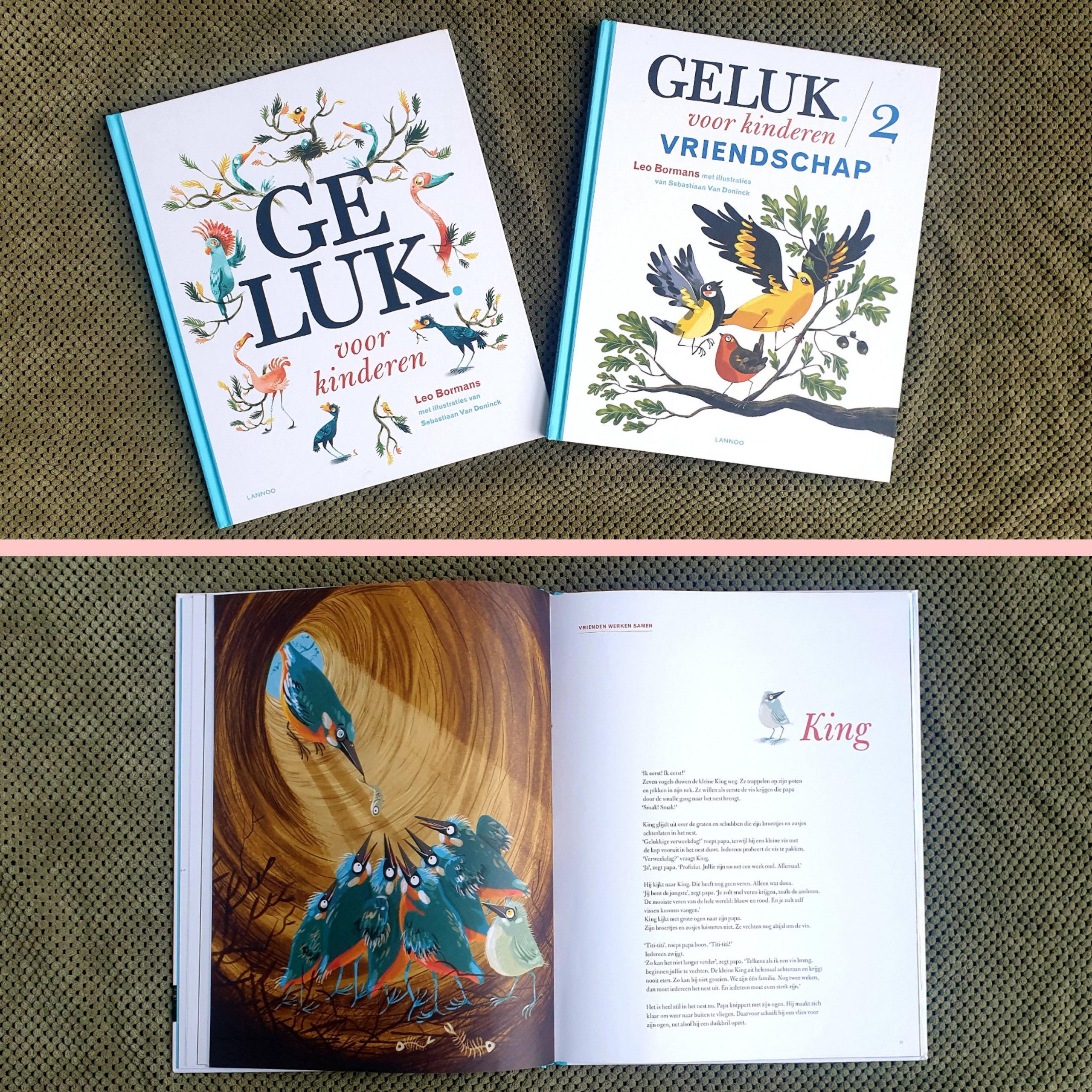 Geluk voor Kinderen zijn filosofieboeken voor kinderen. Naast een algemeen deel zijn verschillende delen, over geluk en vriendschap. Daarnaast zijn er boekjes voor peuters. Geluk voor kinderen 2: vriendschap gaat specifiek over wat vriendschap betekent. In ieder verhaal speelt een andere vogel de hoofdrol en wordt een ander aspect van vriendschap belicht. Het verhaal is ook echt gerelateerd aan hoe die vogels leven. Aan het einde wordt wat over de vogelsoort verteld en zijn er begrijpend lezen vragen over wat er gebeurde in het verhaal.