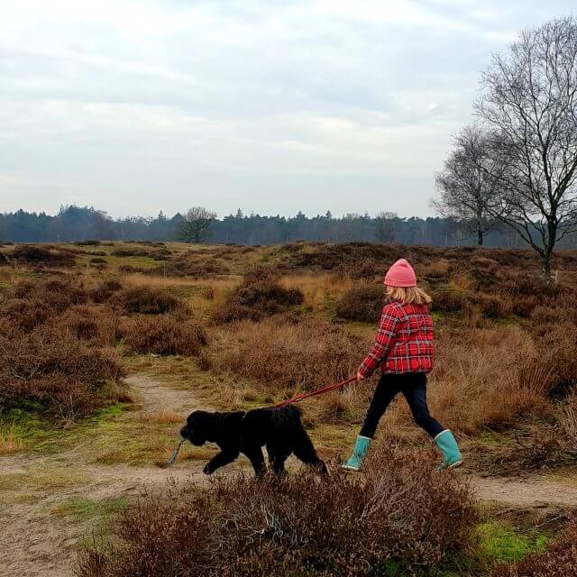 Wandelen met kinderen in de buurt van Amsterdam: plekken met speeltuin. In Lage Vuursche kun je prachtig wandelen, over de hei en door het bos. Er is hier geen speeltuin, maar in de natuur kun je prachtig spelen. 