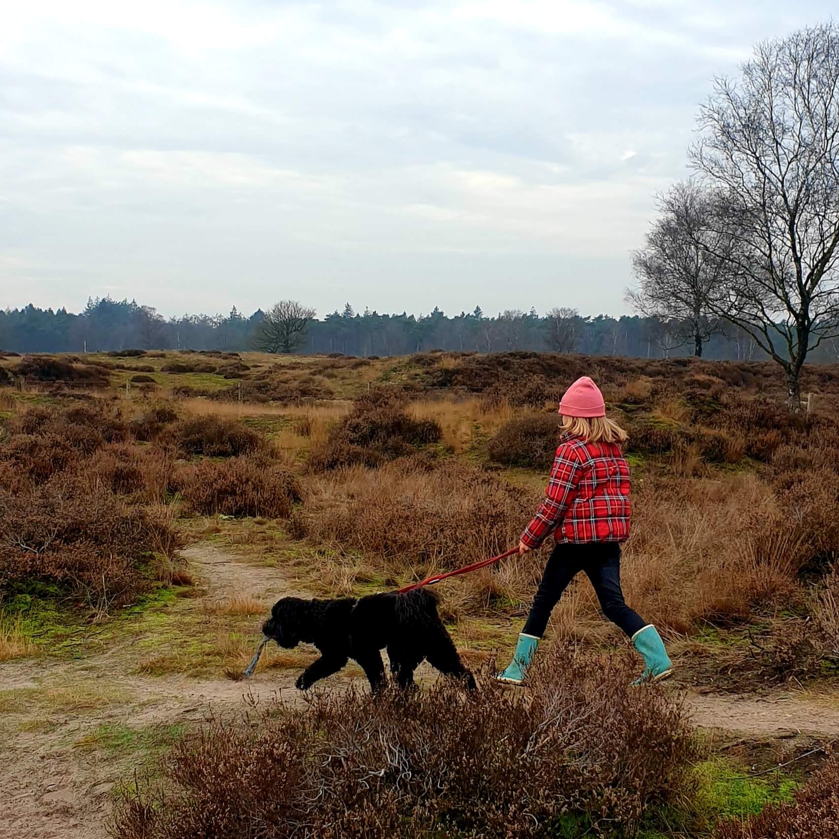 Wandelen met kinderen: onze favoriete wandelingen.. In Lage Vuursche kun je prachtig wandelen, over de hei en door het bos. Vanaf de Kuil van Drakensteyn kun je een leuke route lopen. Boswachterspad Stulp en Kasteeltuin van Staatsbosbeheer bestaat uit de witte route Stulp van 3,1 kilometer en de rode route Nonnenland van 2,4 kilometer. Je kunt beide combineren of er een kiezen. Voor wat lekkers ga je naar restaurant Buiten in de Kuil. 