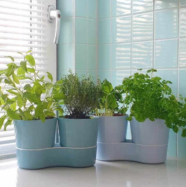 Mepal kruidenpot, de lifehack om kruidenplantjes langer te laten leven. Deze kruidenpotjes van Mepal zijn heel handig. Potjes verse kruiden uit de winkel blijven er namelijk veel langer goed in. Duurzaam en uiteindelijk ook goedkoper.