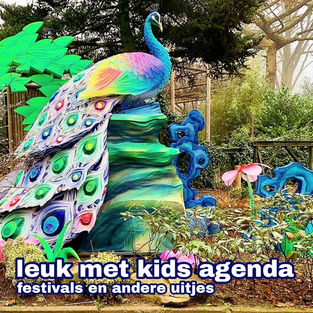 Leuk met kids agenda: festivals en andere uitjes voor kinderen